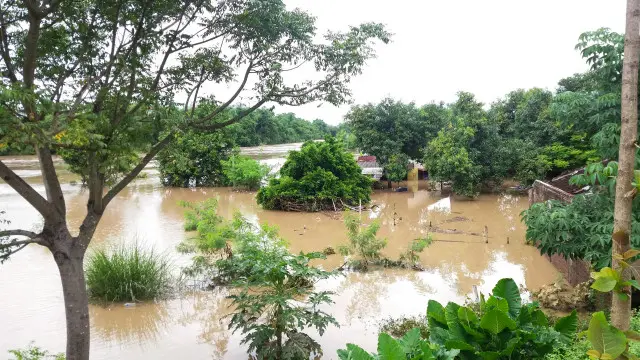 banjir jawa tengah