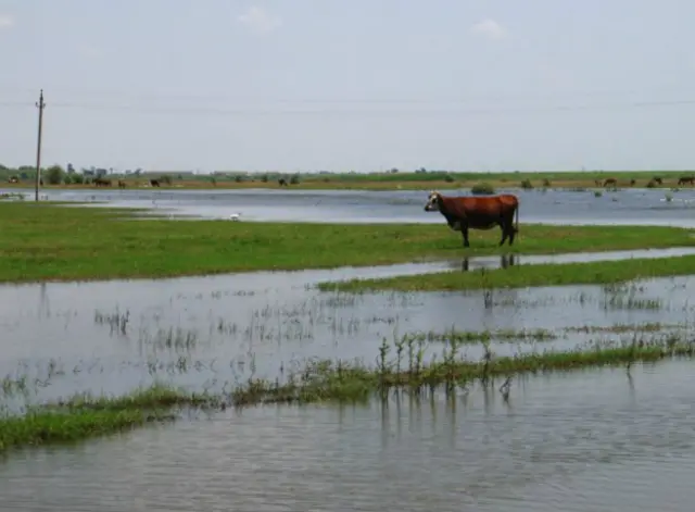 Спалах інфекцій пов'язують із сильними дощами та підтопленням