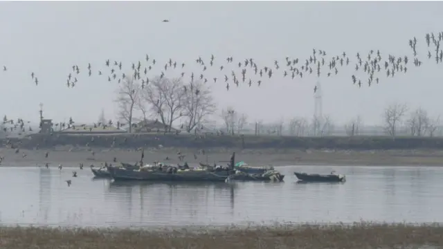 Нетронутая экология Северной Кореи - рай для миллионов перелетных птиц со всего мира