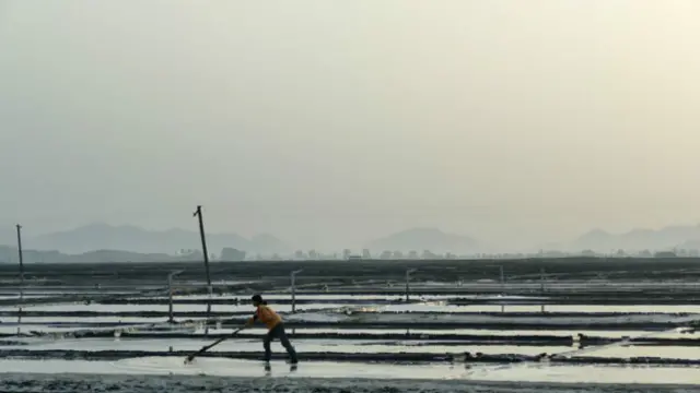 Нетронутая экология Северной Кореи - рай для миллионов перелетных птиц со всего мира