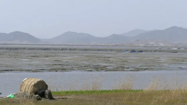 Нетронутая экология Северной Кореи - рай для миллионов перелетных птиц со всего мира