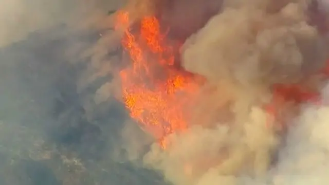 Kebakaran hutan terjadi sejak Jumat siang dan angin menggerakkan api menuju Hutan Nasional Angeles.