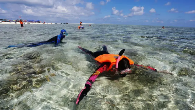 中国国有企业中国远洋海运集团计划在下个月推出第一条南海游轮行程，打造本土化邮轮品牌，并在未来扩展到南海其他岛屿及台湾海峡。