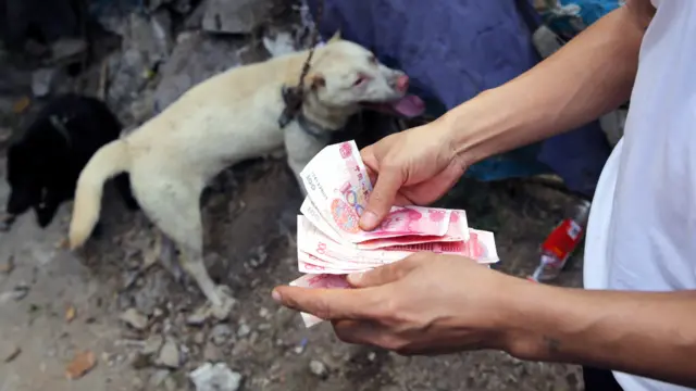 在“狗肉节”期间，商贩通过卖大量的狗来谋取利润