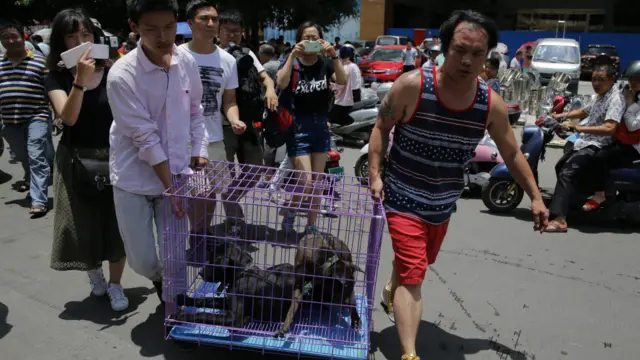 一些爱狗人士试图拯救将被杀的狗而把它们买回家