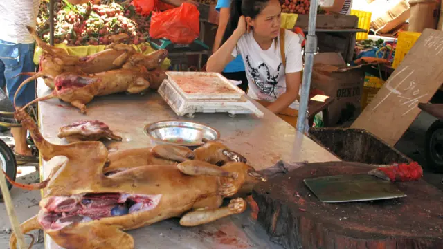 每年“狗肉节”之际，都少不了论战