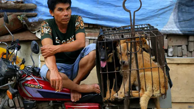 狗肉節多度惹起爭議
