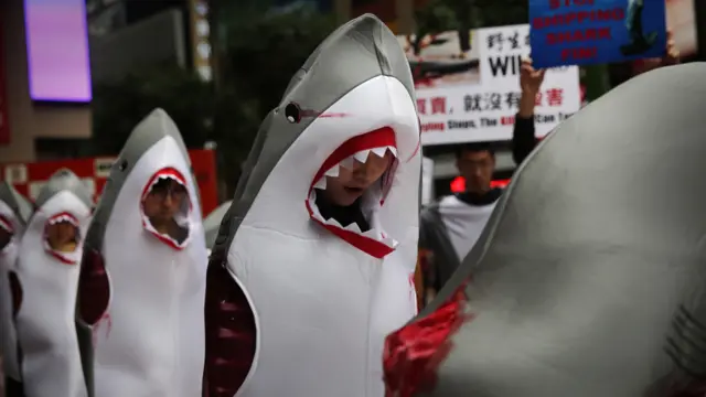 保育活動人在香港街頭穿上鯊魚戲服抗議魚翅貿易（30/1/2016）