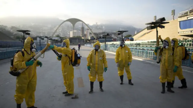 Із вірусом намагаються боротися, розпорошуючи інсектициди