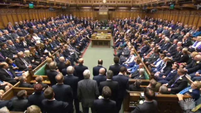 عوام مجلس - د غړیتوب تاثیر پر ملي حاکمیت او د پارلمان پر واک د بحث وړ مسایلو له ډلې و.