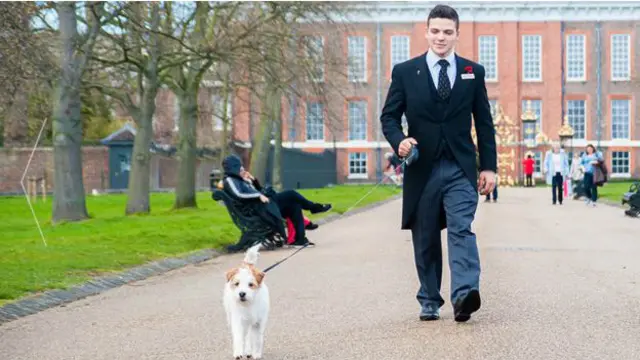 الفندق مايلستون في قلب لندن لديه موظفون يصطحبون الكلاب للتمشية، أو لقضاء حاجتها