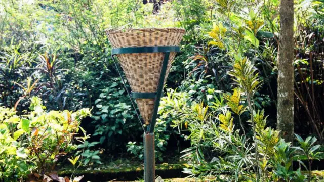 حتى سلال القمامة تسرُّ بجمالها في ماولينّونغ