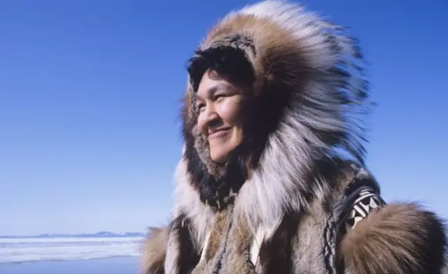 گرین لینڈ یورپی یونین سے علیحدہ ہونے والا پہلا ملک تھا