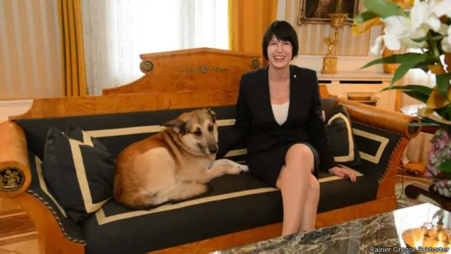 पेट फ्रेंडली होटल