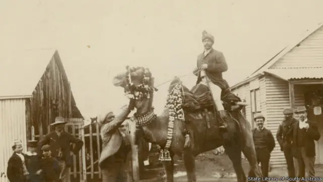 افغانان او د هغو په ګېڼو پسوللی اوښ- د ۱۹۰۱م کال عکس 