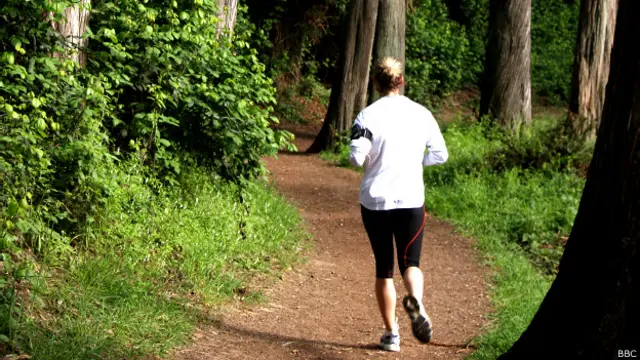 फ़ॉरेस्ट वॉक