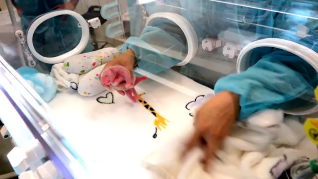 澳门大熊猫馆内心心幼崽在早产儿保育箱内接受加护照顾(新华社/澳门特区新闻局图片26/6/2016)