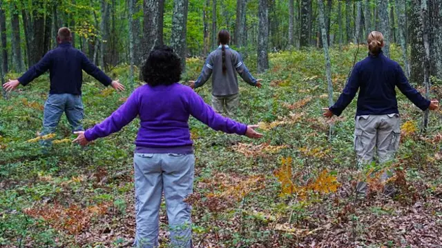 Лесотерапия