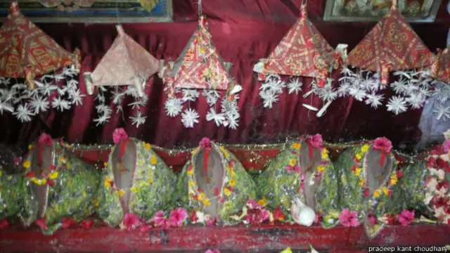 भगवती स्थान, झझीहाट, पुपरी, सीतामढ़ी.