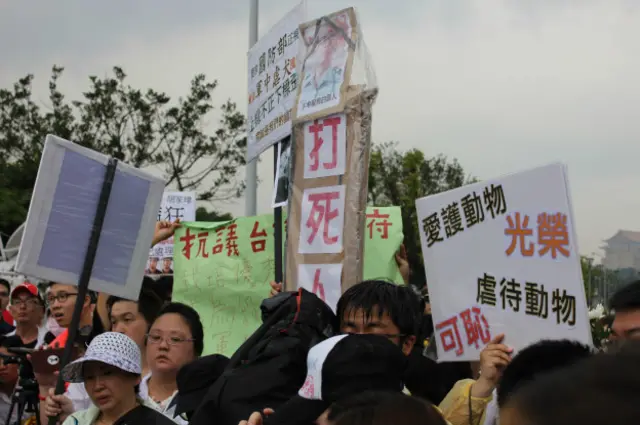 不少人手持自制广告牌，希望虐死狗的军人能够“付出代价”（BBC Chinese）