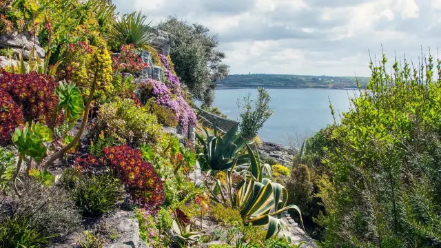 St Michael’s Mount 