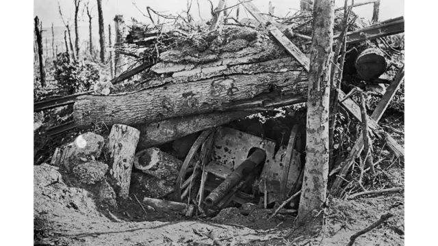 'बैटल ऑफ द सॉम' की शताब्दी