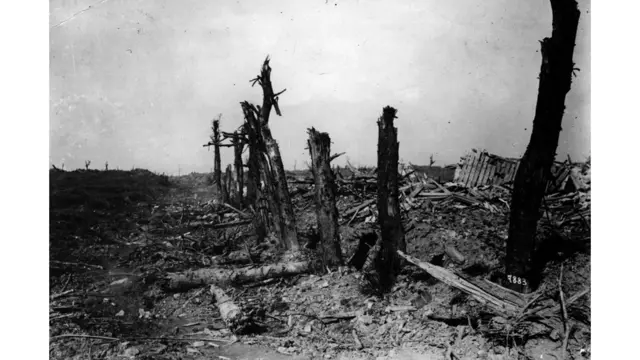 'बैटल ऑफ द सॉम' की शताब्दी