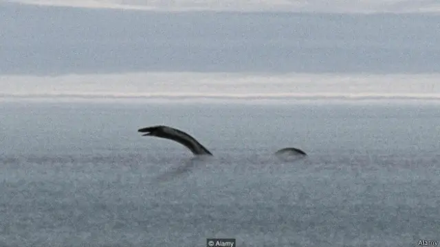 समुद्री दैत्य