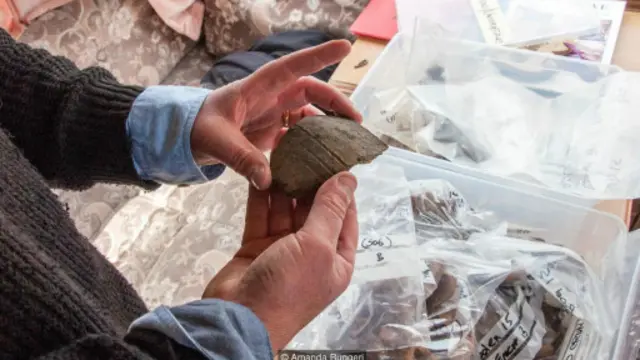 詹姆斯仔细检查在博登（Boden）发掘出的一片陶瓷碎片（图片来源：Amanda Ruggeri)