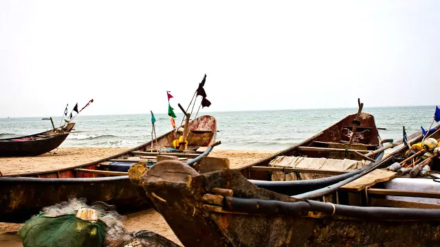 Hiện tượng cá chết xảy ra ở bốn tỉnh miền Trung Việt Nam được chính phủ Việt Nam công bố là do Formosa Hà Tĩnh gây ra