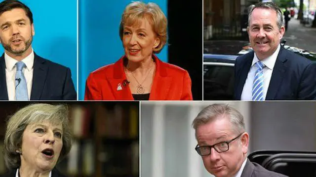 İngiltere'de, AB referandumu sonrası görevden ayrılacağını açıklayan Başbakan David Cameron'ın koltuğuna beş talip var