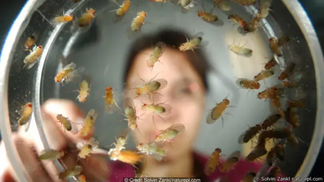 मौत की भविष्यवाणी