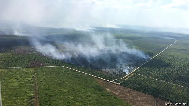 Kebakaran hutan dan lahan berlangsung di Kecamatan Pasir Limau Kapas, Kabupaten Rokan Hilir, Provinsi Riau, pada Minggu (03/07).