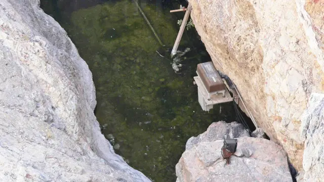 تُظهر هذه الصورة كامل المساحة تقريباً التي تعيش فيها هذه الأسماك في الطبيعة