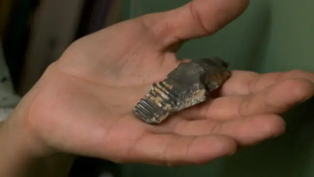 Лариса, шрапнель