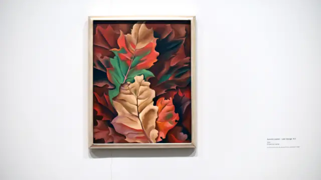 O'Keeffe thường tới Hồ George ở phía bắc New York và mạn đông bắc và những chuyến đi này cho thấy một bảng màu khác hẳn và cho phép bà khám phá thiên nhiên. Những bức tranh lớn vẽ cận cảnh của bà thể hiện ảnh hưởng của nhiếp ảnh tớ tác phẩm của bà.