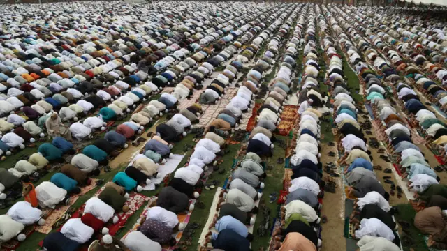 Katta sik mushuk porno Fedorovkada porno