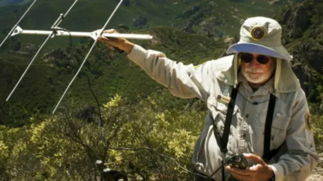 加州秃鹰被装上用于跟踪的无线电信号传送器