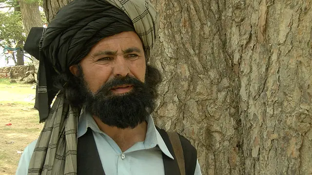 اکبرخان: "دولت باید بازار فروش چوب درخت جنگلها را ببندد."