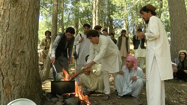 تفریح برخی از آنهایی که به جنگل می آیند نشانه زنی، شکار پرندگان، پختن و خوردن شکار است