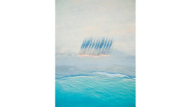 टॉड केनेडी