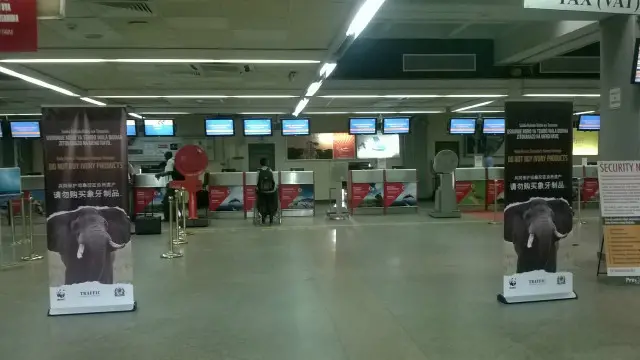 Tại sảnh đi của sân bay quốc tế Julius Nyerere International Airport, Tanzania, giới chức đặt các tấm biển kêu gọi không buôn bán, vận chuyển ngà voi