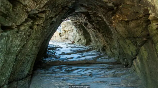 （圖片來源：Amanda Ruggeri）