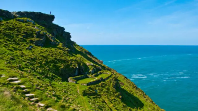 （圖片來源：Amanda Ruggeri）