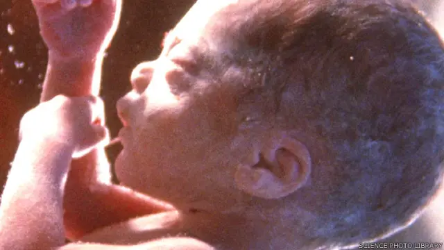 गर्भ में बच्चा