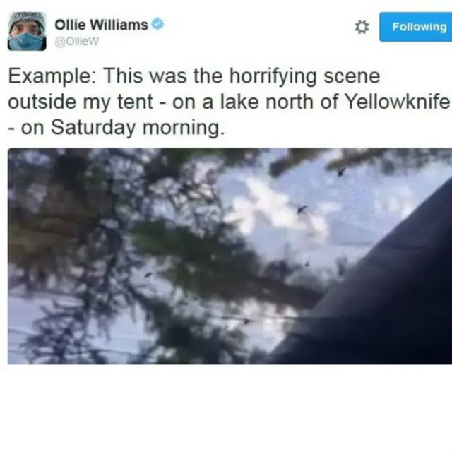 BBC体育记者威廉姆斯说，他被派驻加拿大的时候，没人提到有蚊子。他也以为半年的严冬，没有文字能存活，“没想到会有喝血的拇指大的蚊子”。