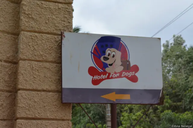 होटल फॉर डॉग्स