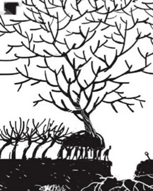 کارتون حسین صافی، وقایع اتفاقیه