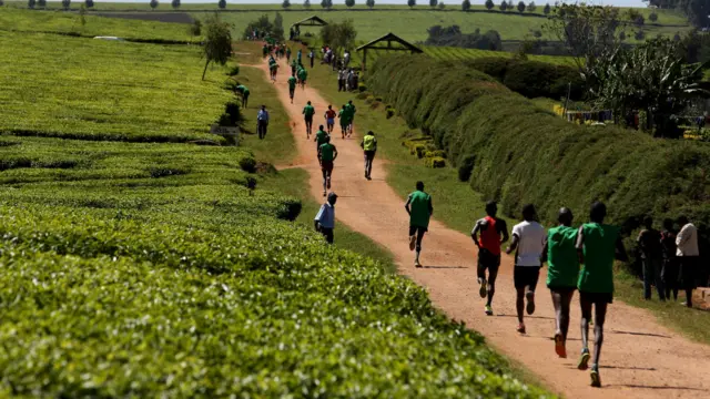 运动员在肯尼亚西部野外训练