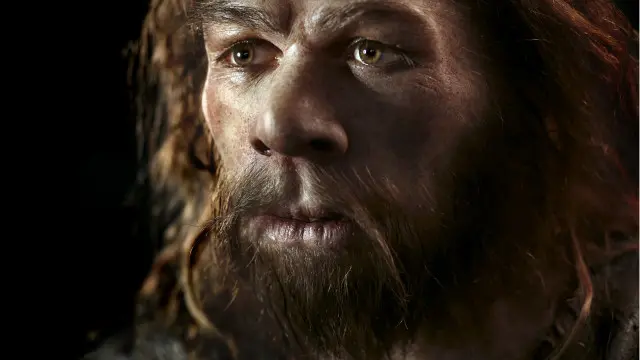 Неандерталець